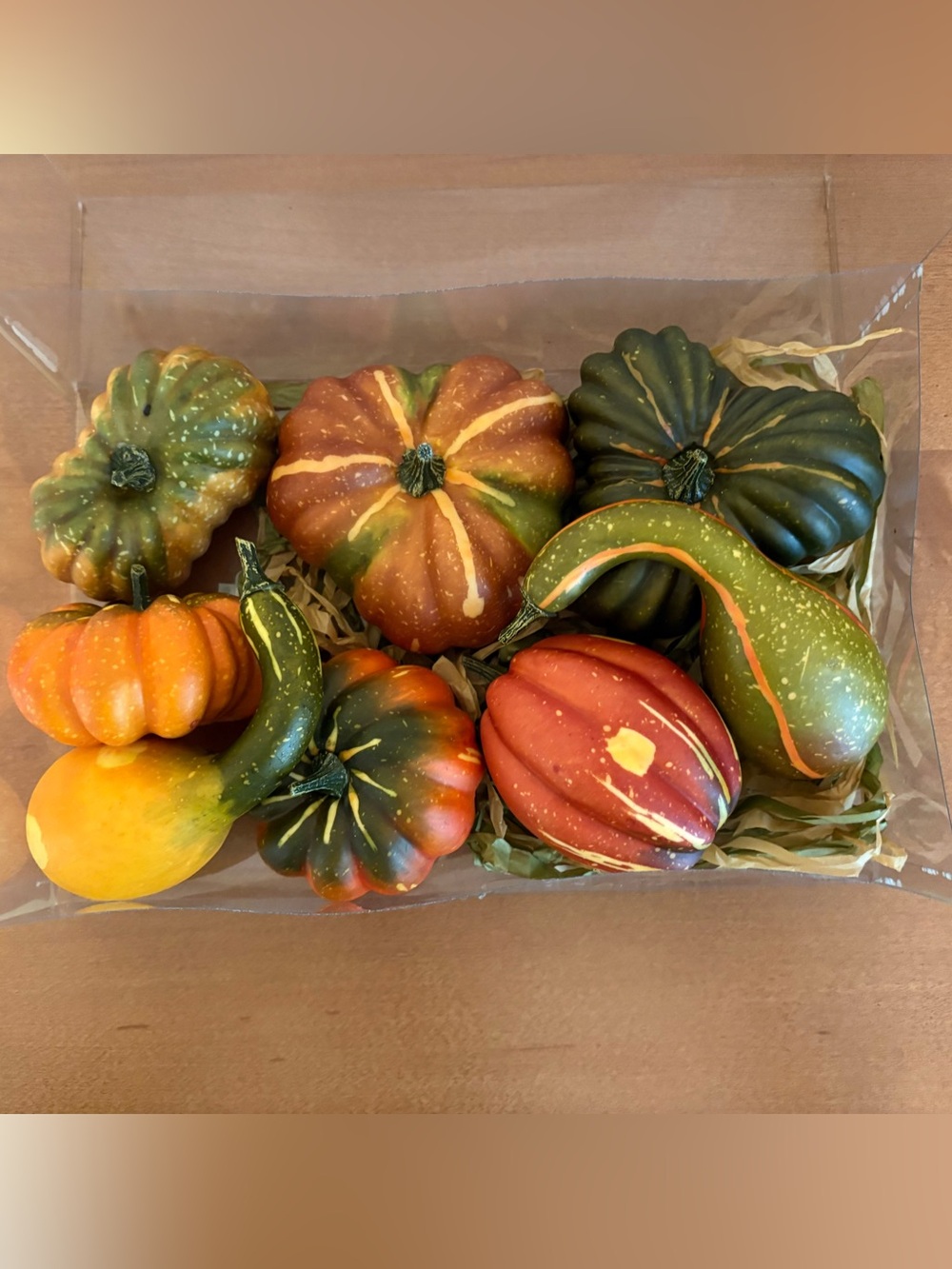 Allstate Floral & Crafts Set of 8 Gourds and Pumpkins NIB Fall Cornicopia